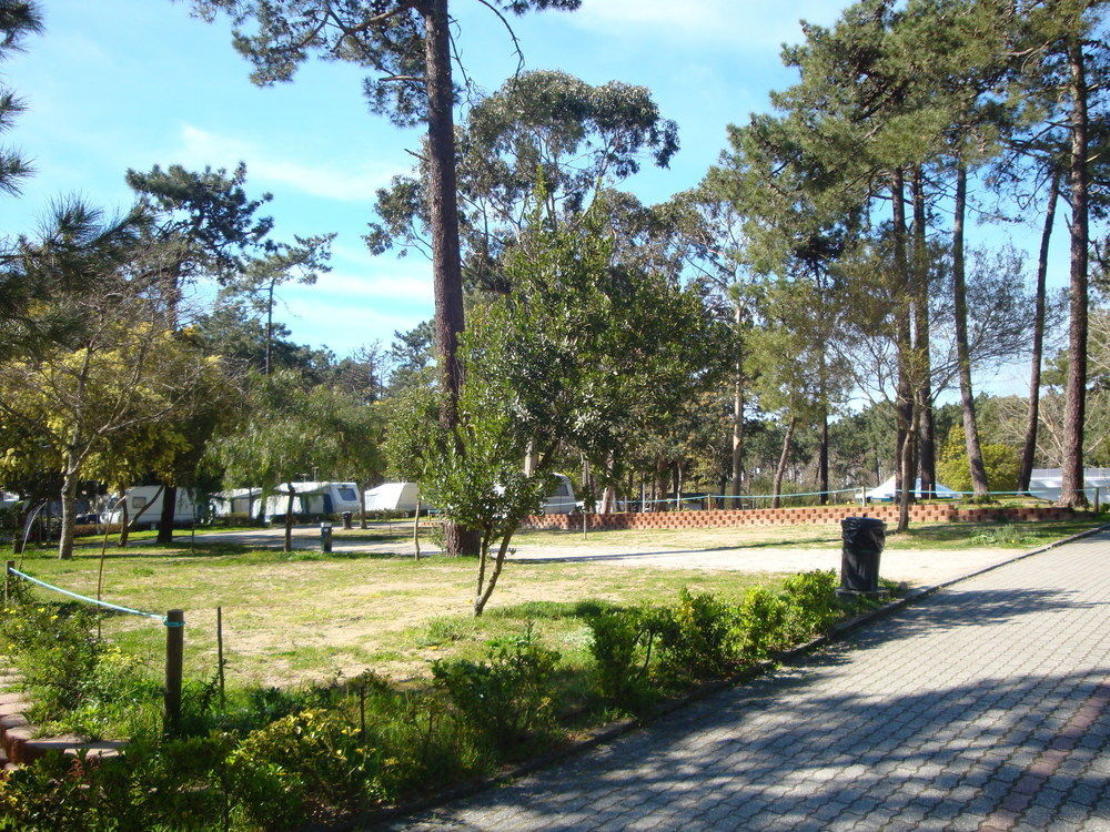 Parque De Campismo Orbitur Caminha Hotel Exterior photo