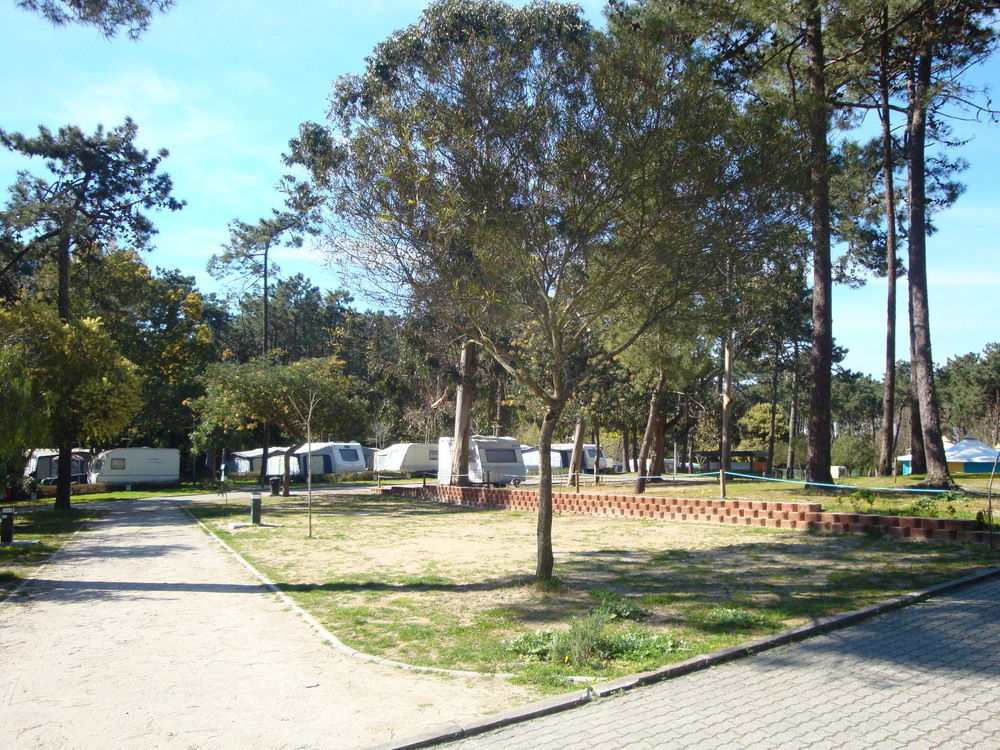 Parque De Campismo Orbitur Caminha Hotel Exterior photo